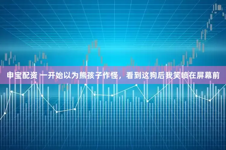 申宝配资 一开始以为熊孩子作怪，看到这狗后我笑喷在屏幕前